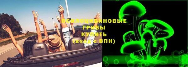мдпв Ленск