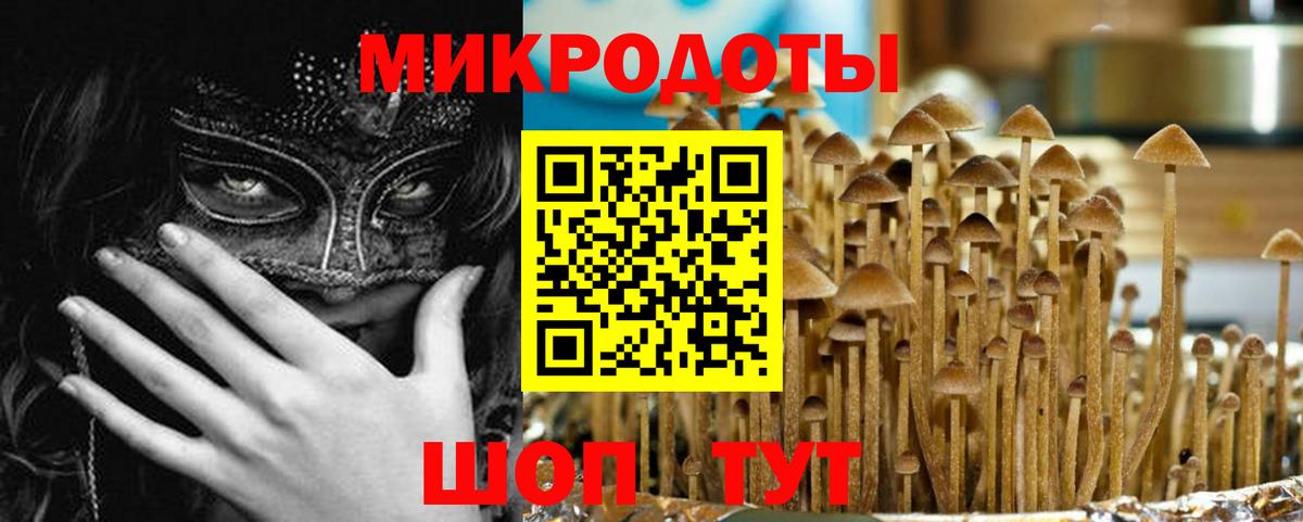 Псилоцибиновые грибы Magic Shrooms  Вход с VPN  Пятигорск  Галлюциногенные грибы GOLDEN TEACHER 