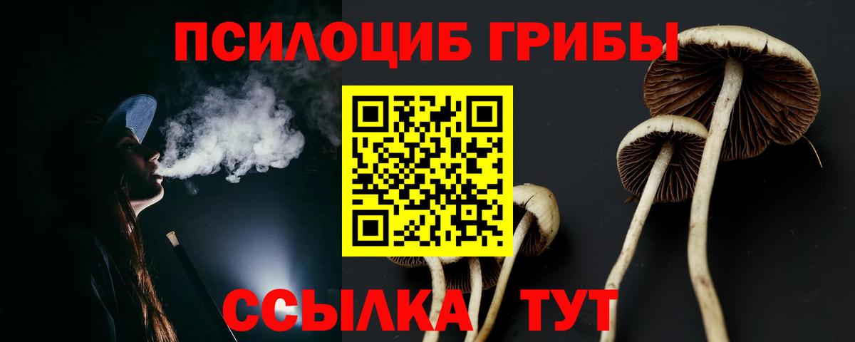 Галлюциногенные грибы GOLDEN TEACHER Пятигорск